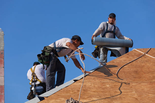Best Metal Roofing Contractor  in Cresco, IA