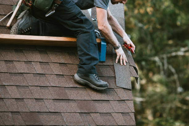 Best Roof Gutter Cleaning  in Cresco, IA